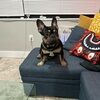 bobbykpro